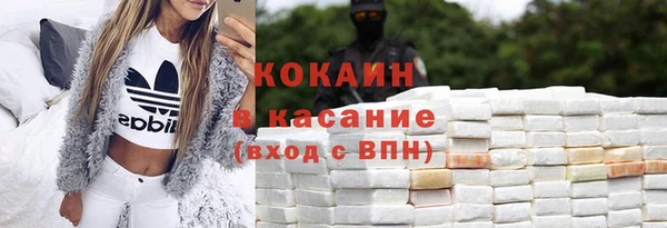 гидра Белокуриха