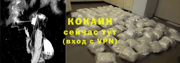 гидра Белокуриха