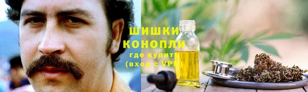 гидра Белокуриха