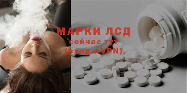 гидра Белокуриха