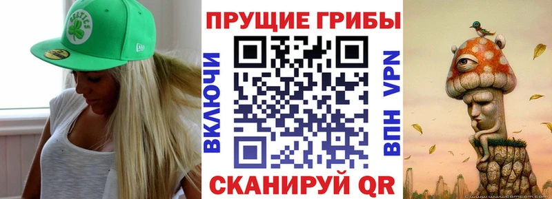 даркнет как зайти  Мезень  Галлюциногенные грибы мухоморы 